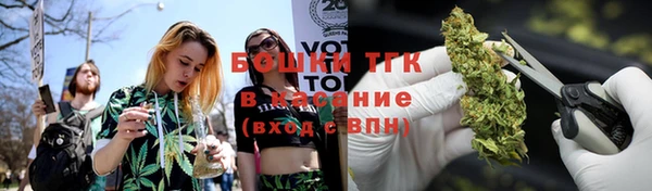 шишки Алексин