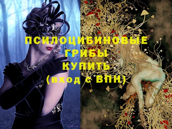 экстази Алексеевка