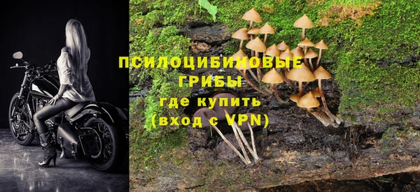 мяу мяу мука Алзамай