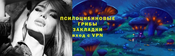шишки Алексин