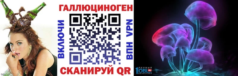 Псилоцибиновые грибы мицелий KRAKEN ссылка Рошаль